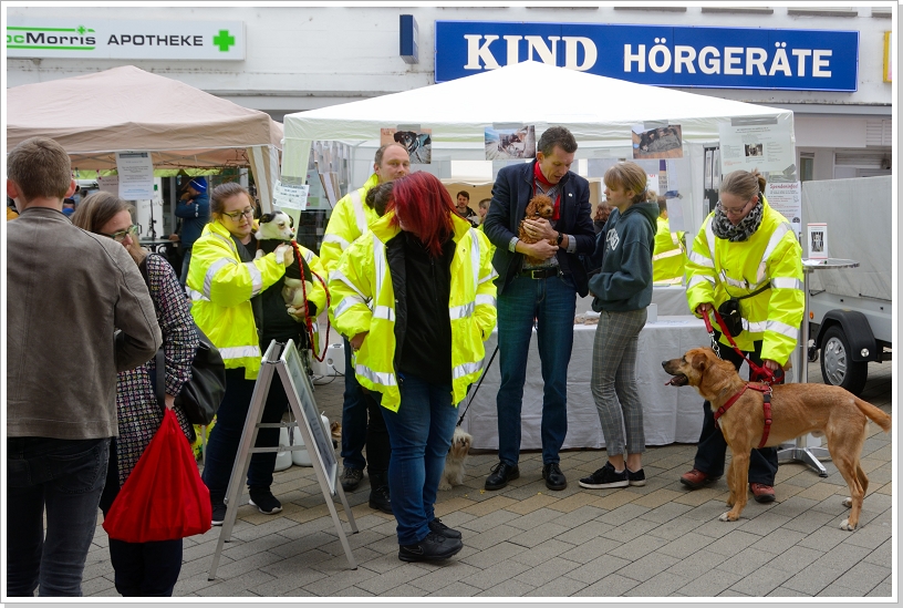 0046_TDH19 (39).jpg
